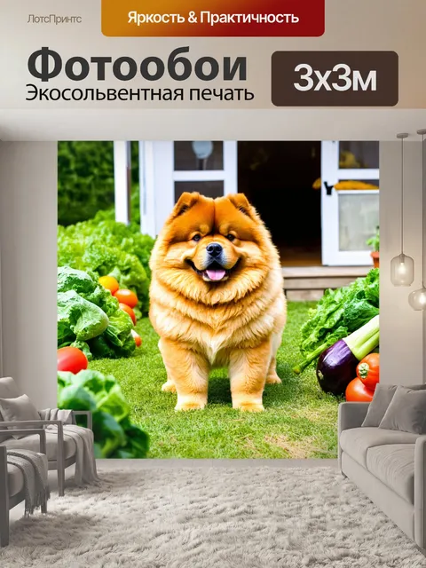 Фотообои чау-чау, позирующий на даче, рядом с грядками свежих овощей