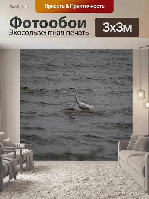 Фотообои Белая цапля