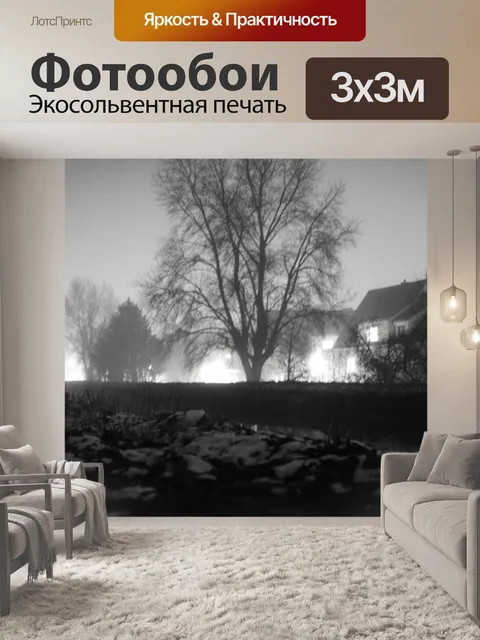 Фотообои Зима