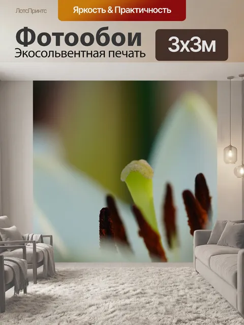 Фотообои Лили