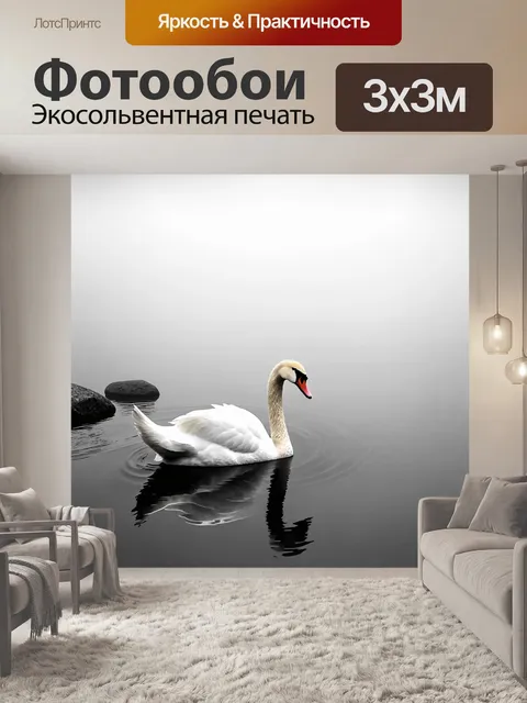 Фотообои лебедь в тумане раннего утра, плавающий по тихой воде, окруженной камнями, покрытыми утренней росой