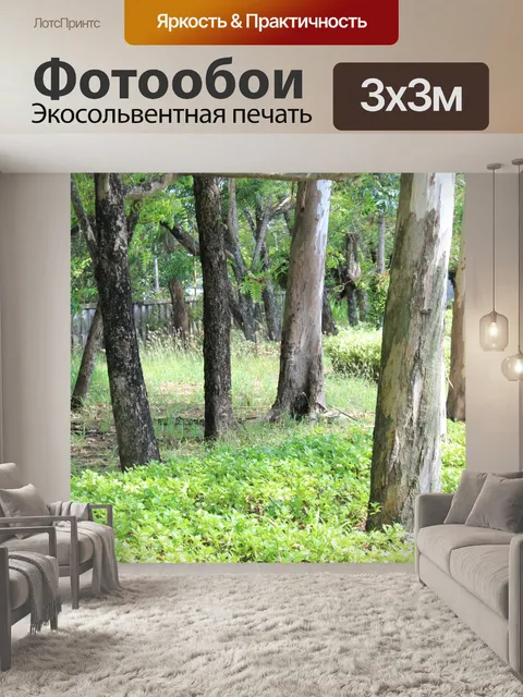 Фотообои В лес