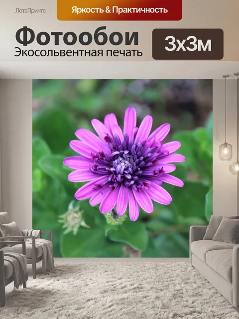 Фотообои Фиолетовый цветок