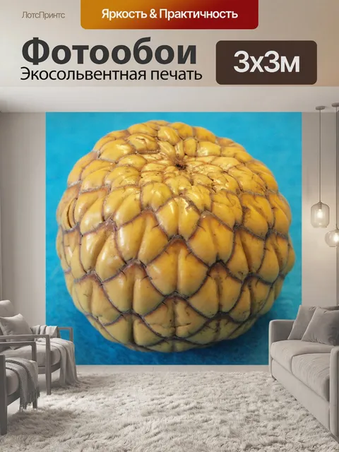 Фотообои Фрукты румбия