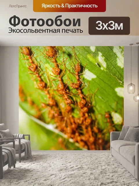 Фотообои Красные муравьи