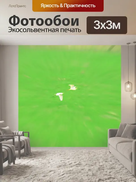 Фотообои увеличение размытия поля и белых птиц