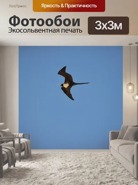 Фотообои Птица