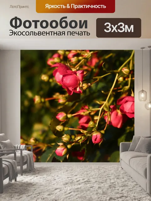 Фотообои Закат