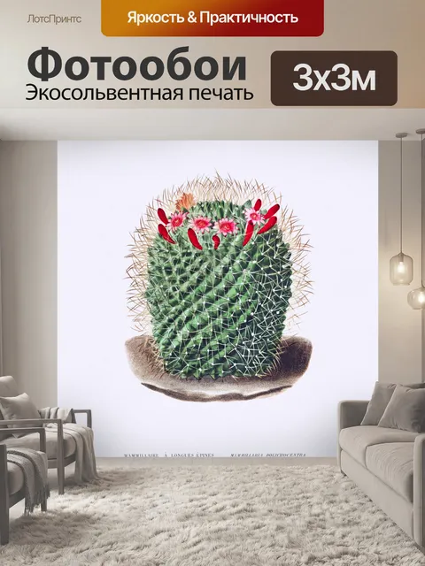 Фотообои Кактус винтаж искусство старый