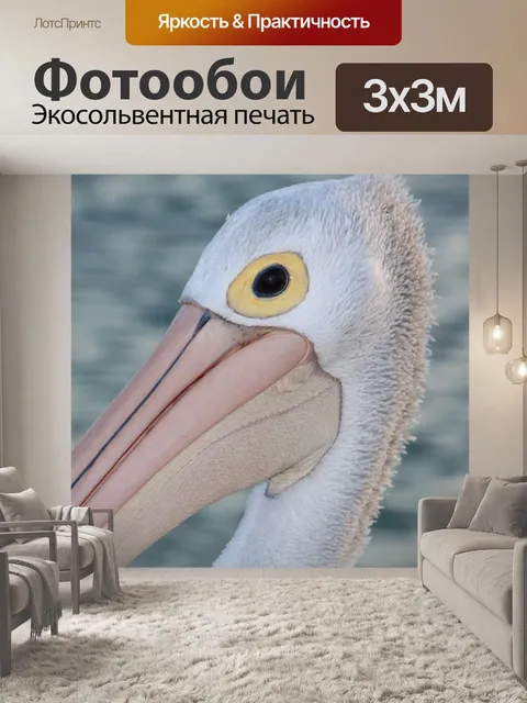 Фотообои Дикая природа