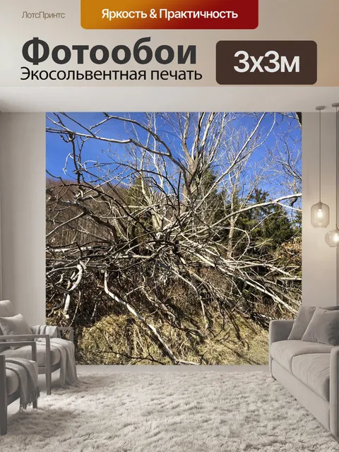 Фотообои Мертвое дерево