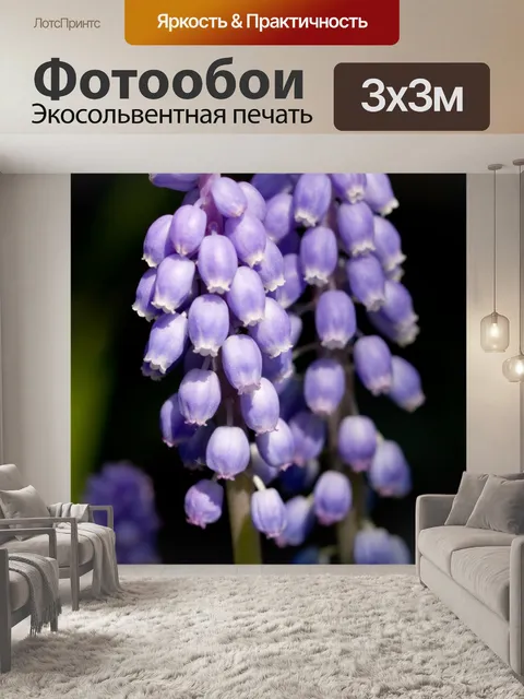 Фотообои Колокольчик Цветы макро