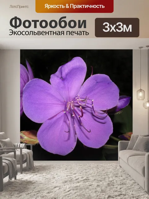 Фотообои Цветок