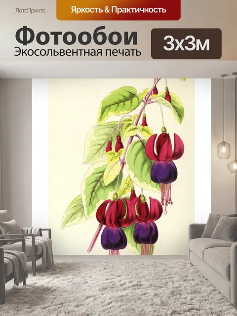 Фотообои Искусство иллюстрации садовых цветов