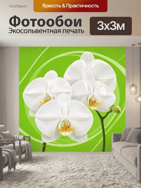 Фотообои Белые орхидеи на зеленом фоне