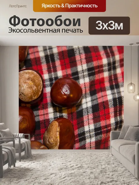 Фотообои Conkers в траве