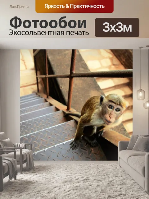 Фотообои Лестницы