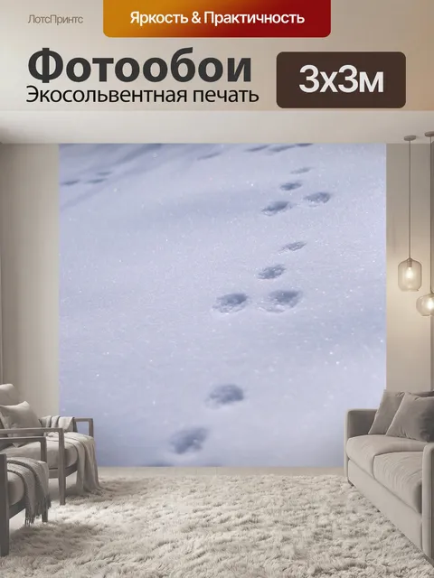 Фотообои Кролик