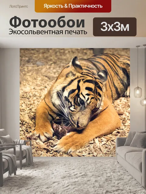 Фотообои Еда тигра