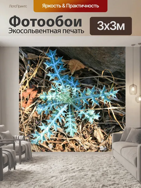 Фотообои серо-зеленый расторопши сорняков