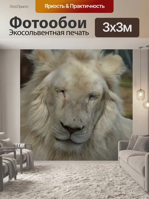 Фотообои Белый