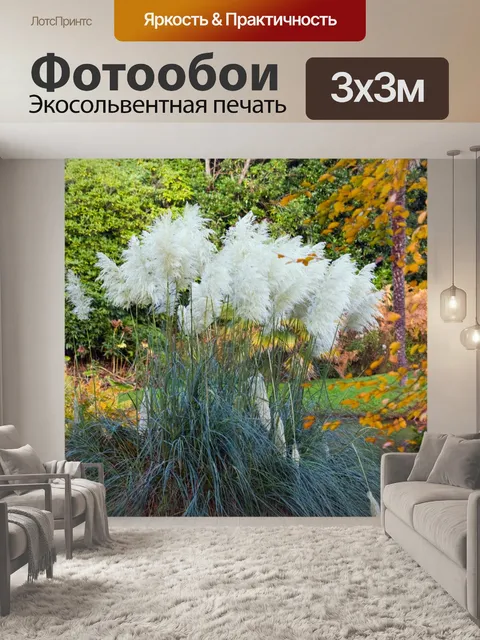 Фотообои Пампасная трава