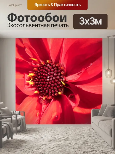 Фотообои Красный георгин