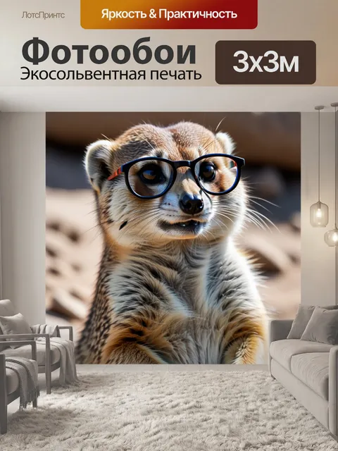 Фотообои сурикат в очках на страже