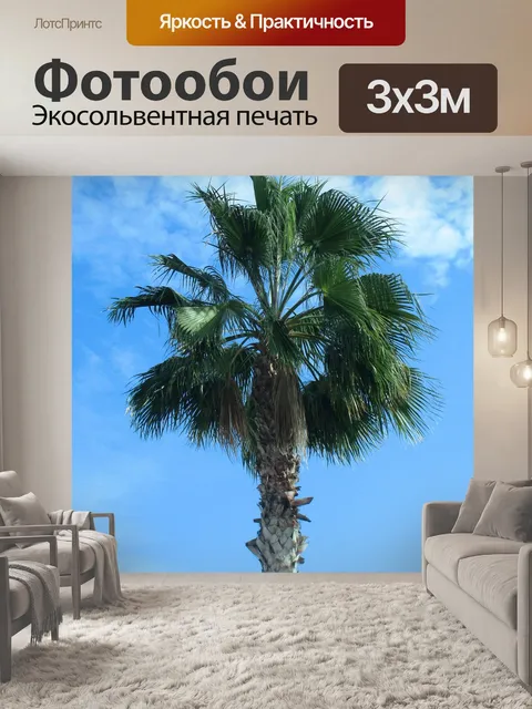 Фотообои Пальма