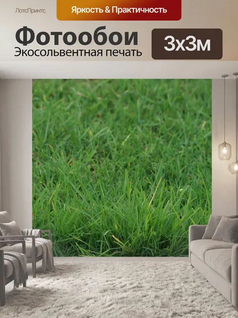 Фотообои зеленый газон летом