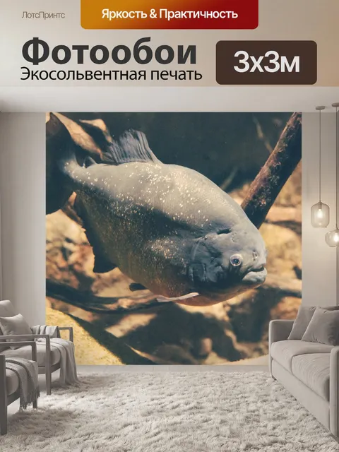 Фотообои Пиранья
