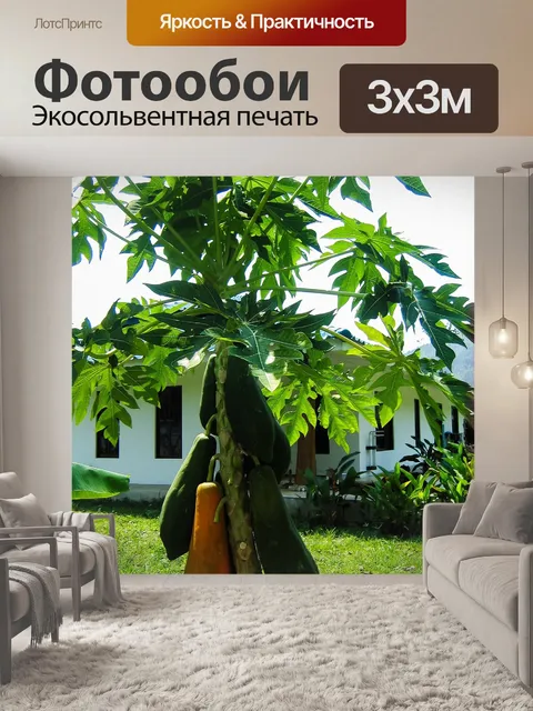 Фотообои Папайя