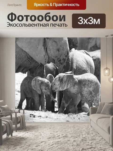 Фотообои Слон