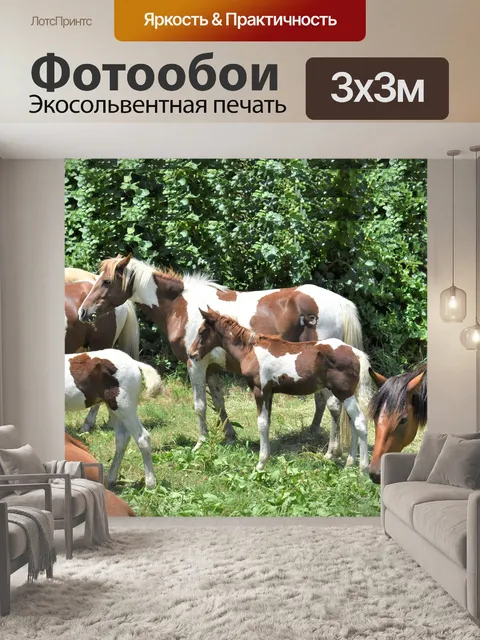 Фотообои Пони