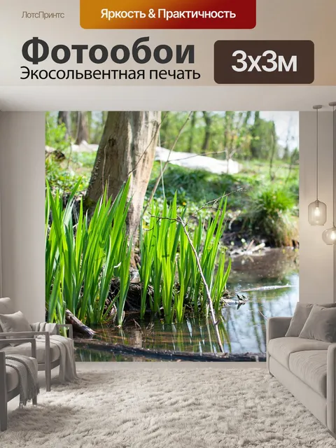 Фотообои Лес
