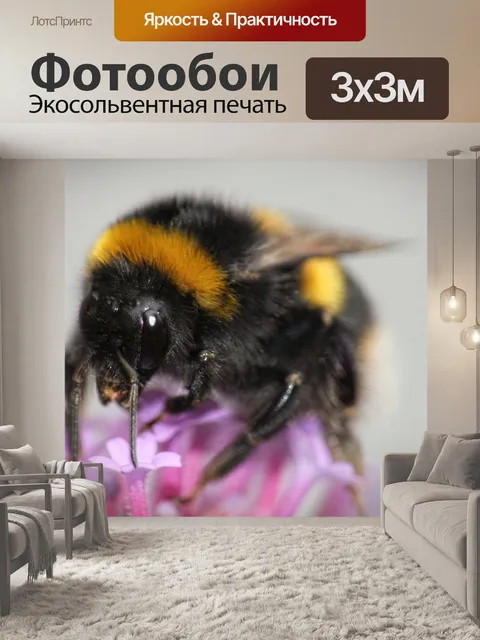 Фотообои Шмель