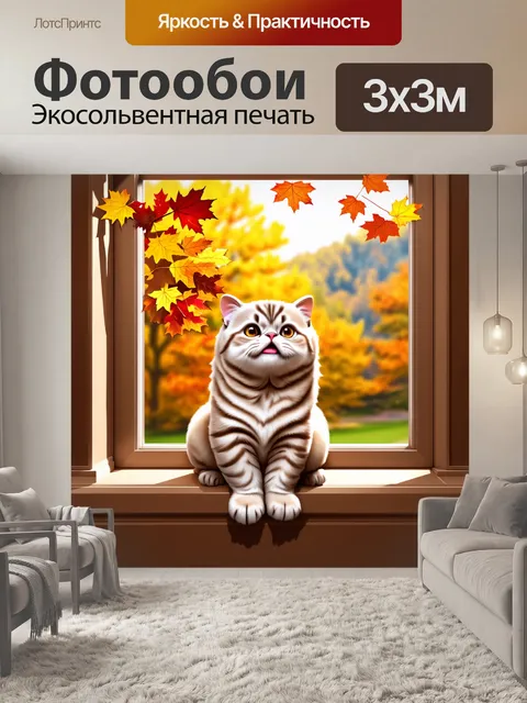 Фотообои шотландская вислоухая