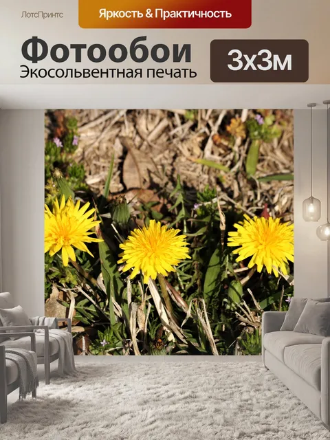Фотообои Трио Одуванчиков