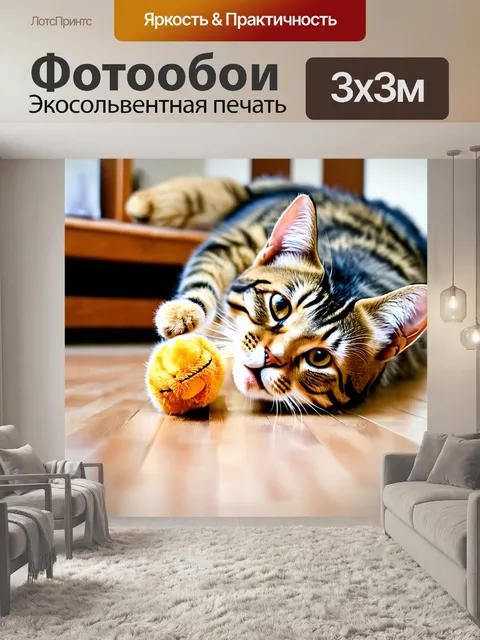 Фотообои кот, со своей игрушкой, смешно покатывающийся по полу