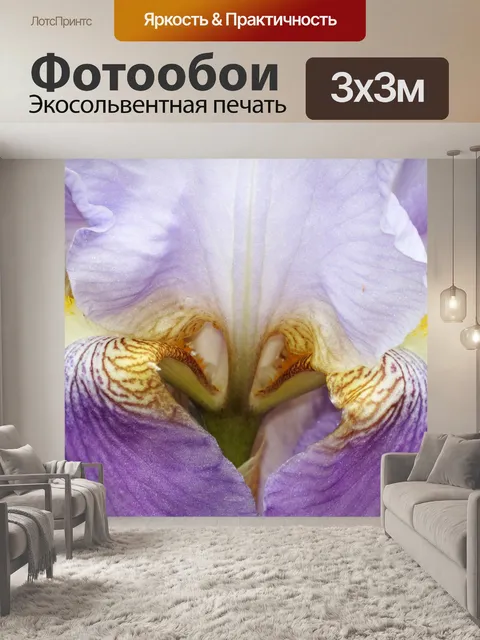 Фотообои Фиолетовый абстрактный ирис