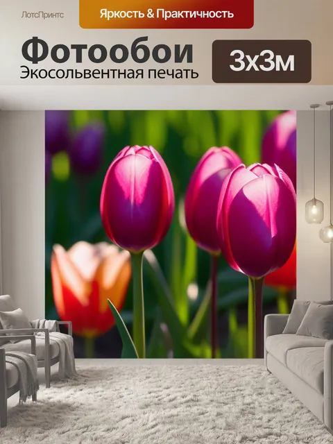 Фотообои тюльпаны в утреннем свете
