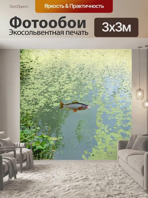 Фотообои на фоне спокойного озера, заросшего ряской, плавает хариус, оставляя за собой легкие волны