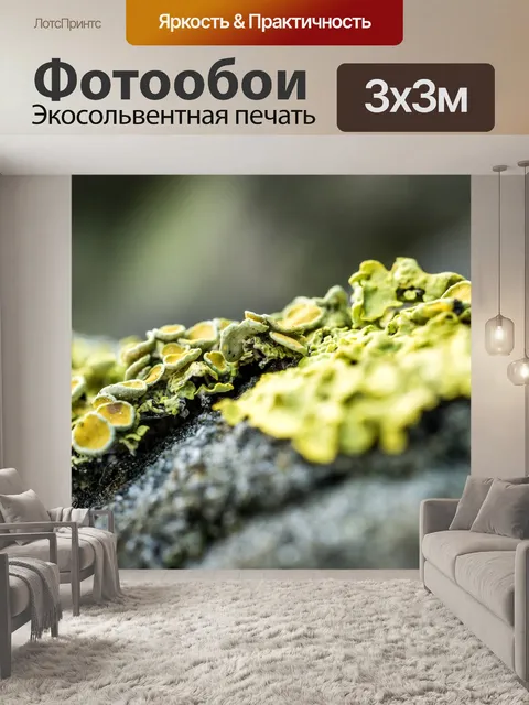 Фотообои Лаять
