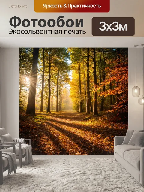 Фотообои осень осенние прогулки в лесу