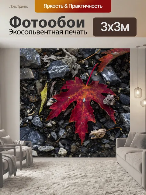 Фотообои Красный осенний лист