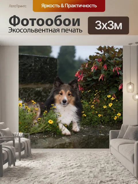 Фотообои Стена