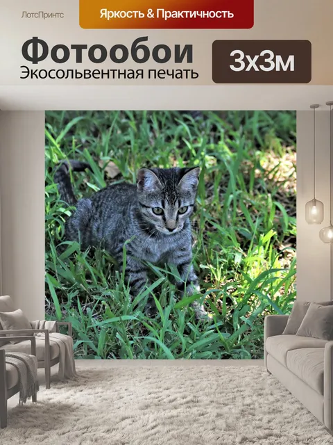 Фотообои Серый котенок играет в траве