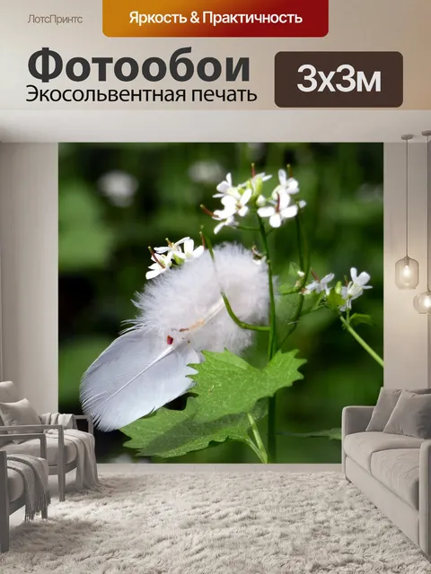 Фотообои Перо