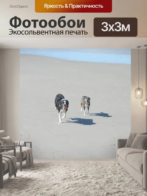 Фотообои Собаки