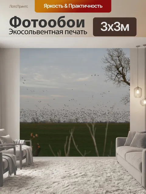 Фотообои Перелетные птицы в Оклахоме